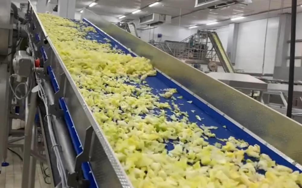 Компания «ГК Интерагро» ввела в эксплуатацию линию сушки листовых салатов на заводе «Белая Дача Алабуга»