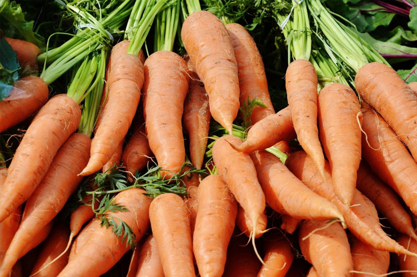 Возможно ли снизить рост цен на морковь в зимне-весенний период и сократить долю импорта?