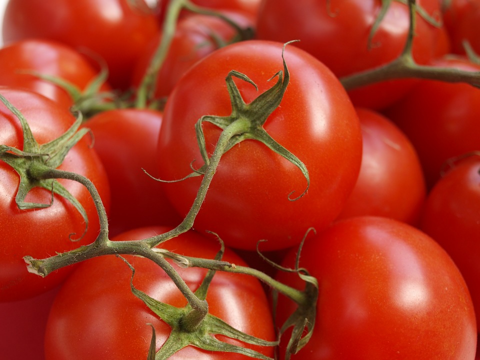 Портал FruitNews: Интерагро оценивает дефицит несезонных овощей в 900 тыс. тонн