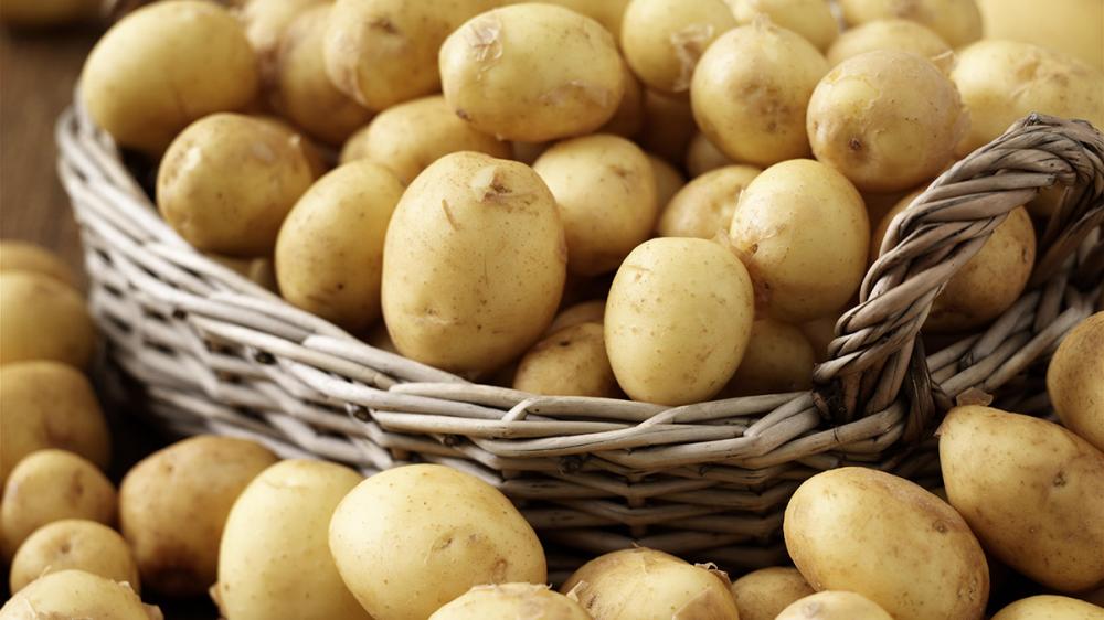 Чем хорош картофельный бизнес? Мировой спрос на картофель