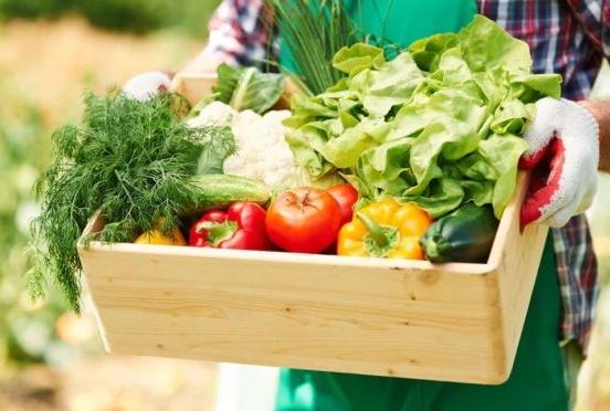 ТАСС: «Эксперты заявили о потенциале РФ в увеличении рынка овощей до 20,5 млн тонн»