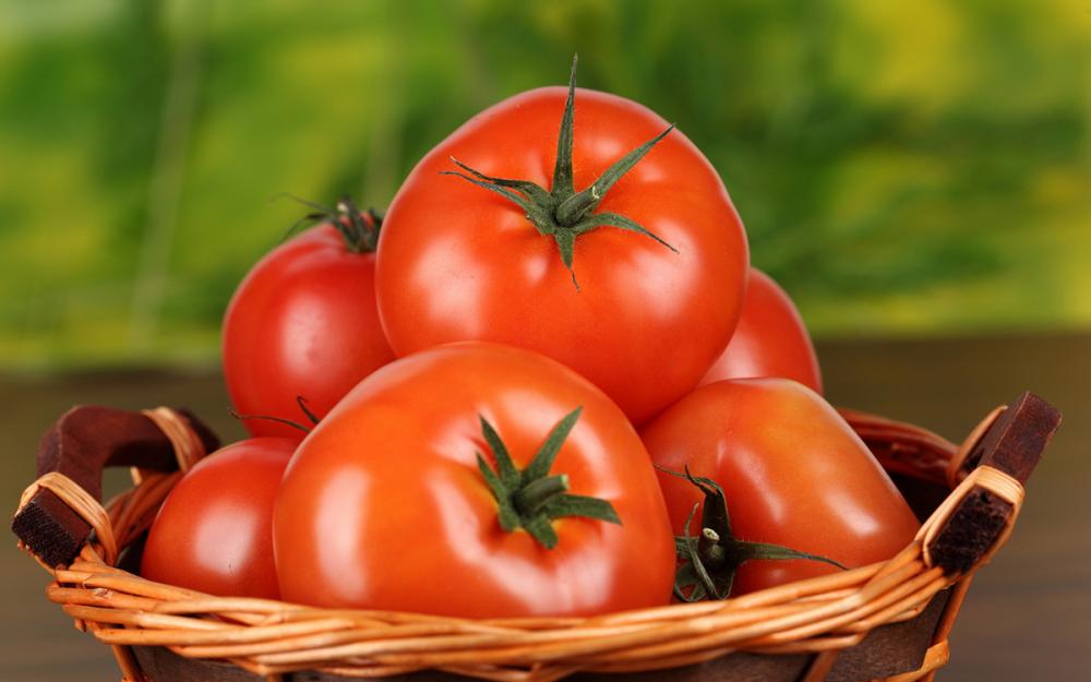 Обзор мирового рынка томатов