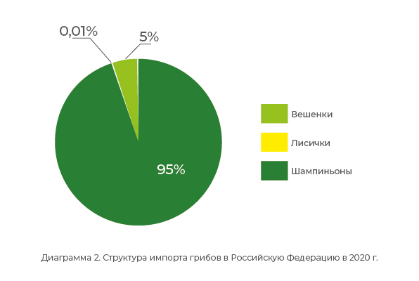 Диаграмма 2. Структура импорта грибов в Российскую Федерацию в 2020 г.