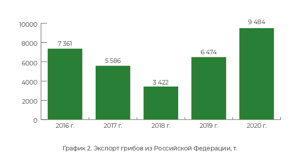 График 2. Экспорт грибов из Российской Федерации, т.