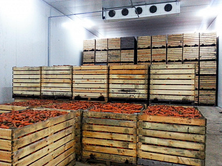 Овощехранилище для моркови