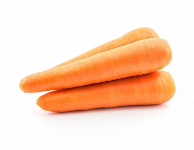 Предпродажная подготовка моркови